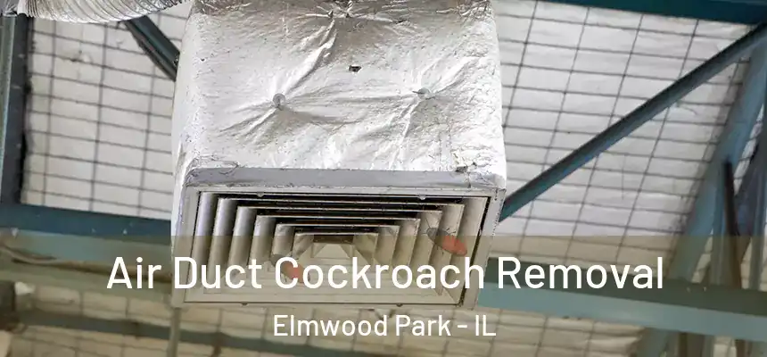 Air Duct Cockroach Removal Elmwood Park - IL