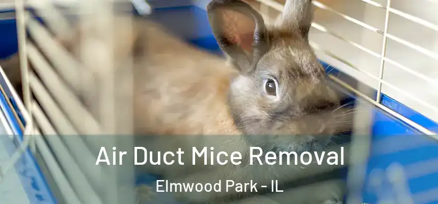  Air Duct Mice Removal Elmwood Park - IL