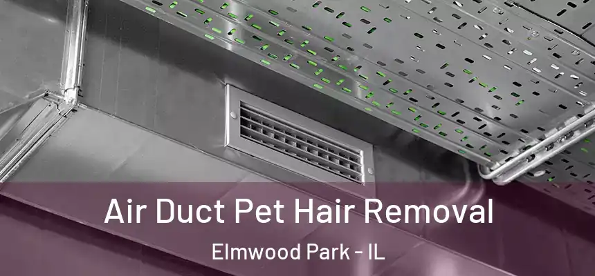  Air Duct Pet Hair Removal Elmwood Park - IL
