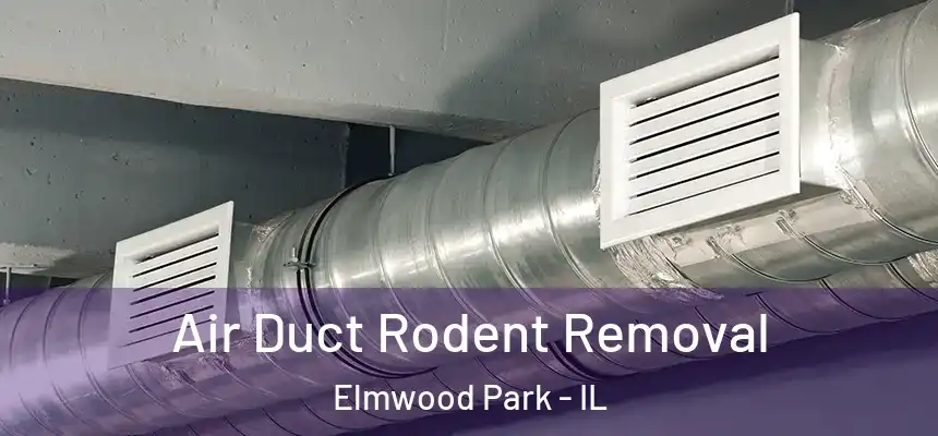 Air Duct Rodent Removal Elmwood Park - IL