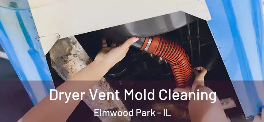 Dryer Vent Mold Cleaning Elmwood Park - IL