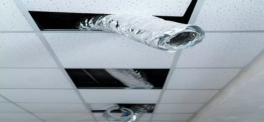 Affordable HVAC Sanitizing After Pest Removal in Elmwood Park