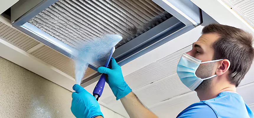 Proactive Dryer Vent & Auxiliary Duct Pollen Cleanup in Elmwood Park, IL