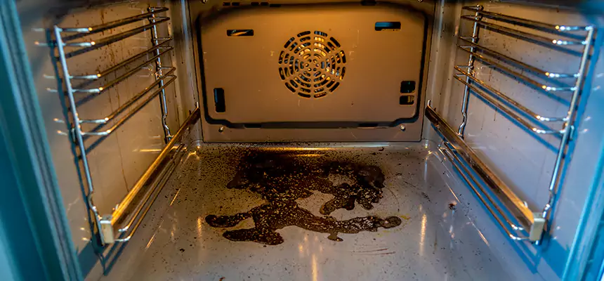 Our Dryer Vent Mold Cleaning Services in Elmwood Park, IL