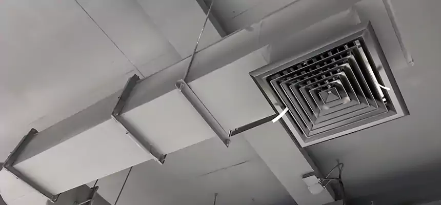 Our Pest Removal From Ducts Services in Elmwood Park, IL