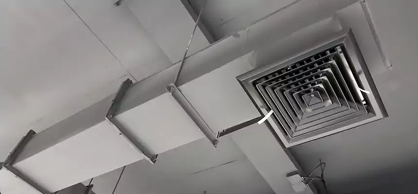 Our Rodent Droppings In Vents Services in Elmwood Park, IL