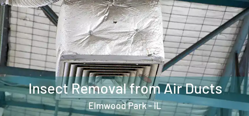 Insect Removal from Air Ducts Elmwood Park - IL