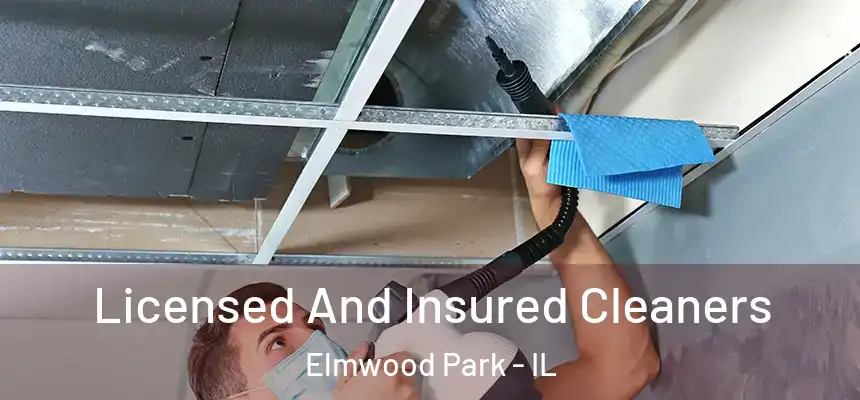  Licensed And Insured Cleaners Elmwood Park - IL