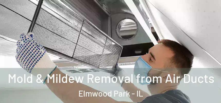 Mold & Mildew Removal from Air Ducts Elmwood Park - IL