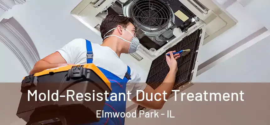 Mold-Resistant Duct Treatment Elmwood Park - IL