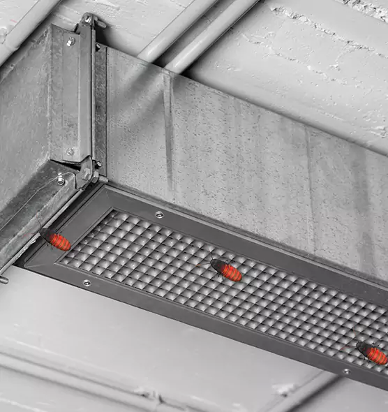 About Air Duct Cockroach Removal in Elmwood Park, IL