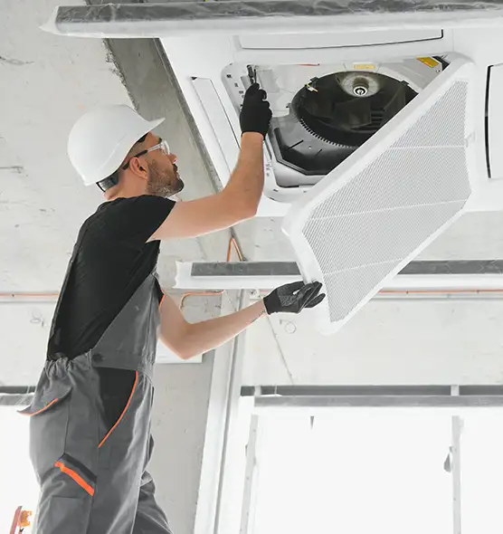 About Air Duct Rodent Removal in Elmwood Park, IL