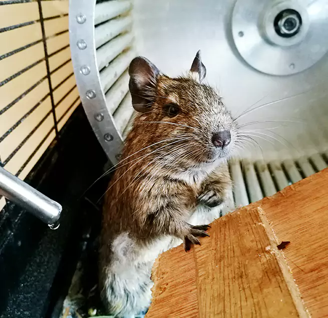 Why Homeowners & Businesses Trust Us Elmwood Park, IL?