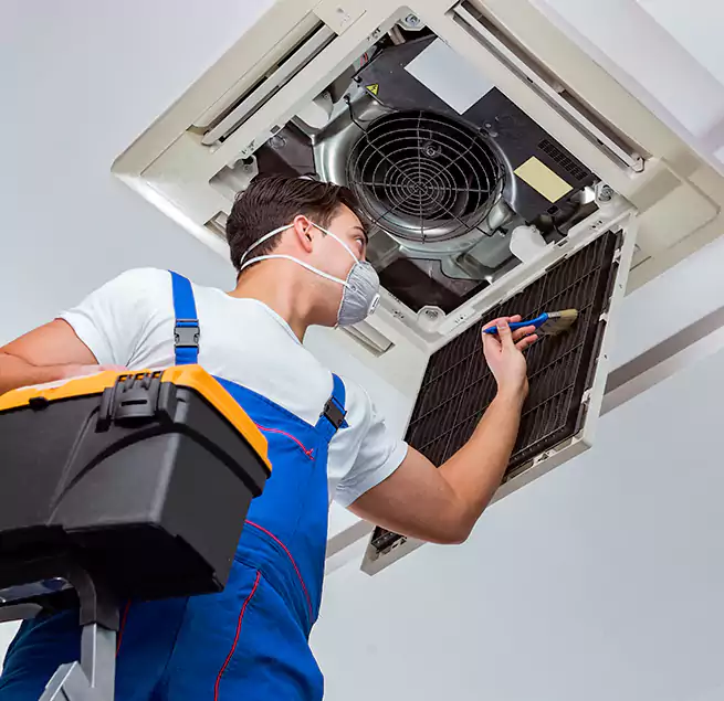 Why Homeowners & Businesses Trust Us in Elmwood Park, IL