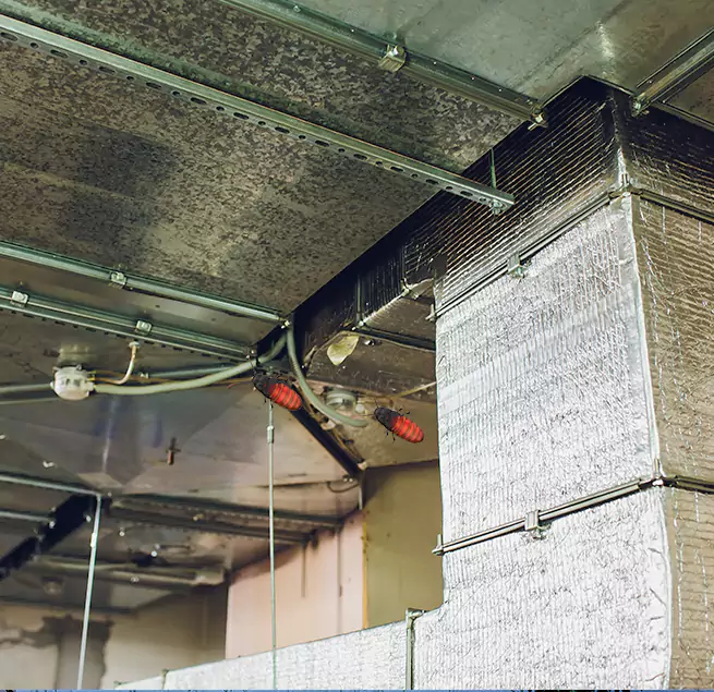 Why Homeowners & Businesses Trust Us Elmwood Park, IL?