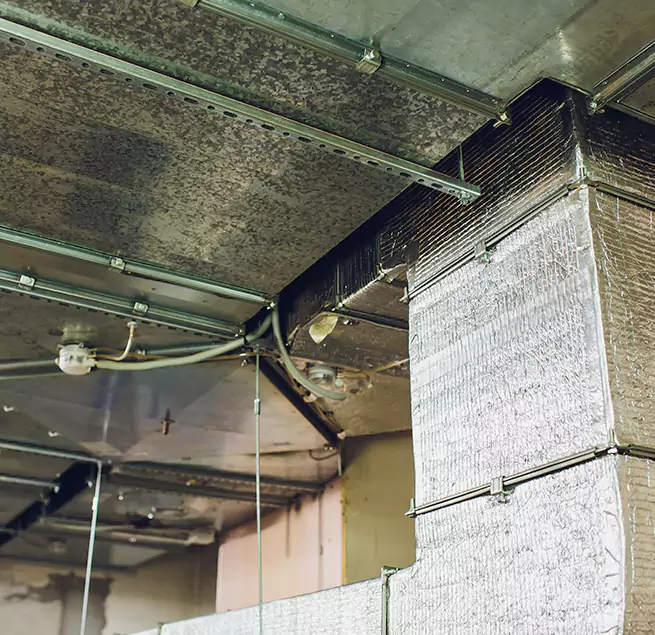 Why Homeowners & Businesses Trust Us in Elmwood Park, IL?